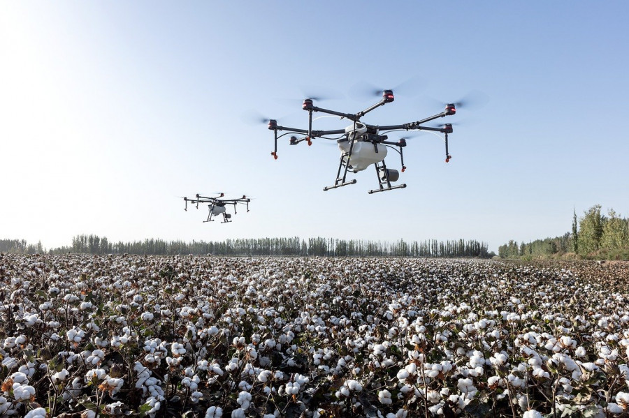 agriculture-4208863_1280