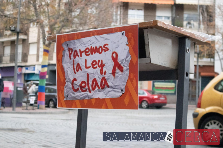 26 de novimebre-21