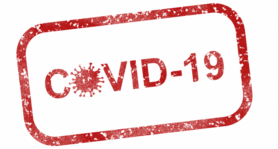 covid-19-4960254_1920