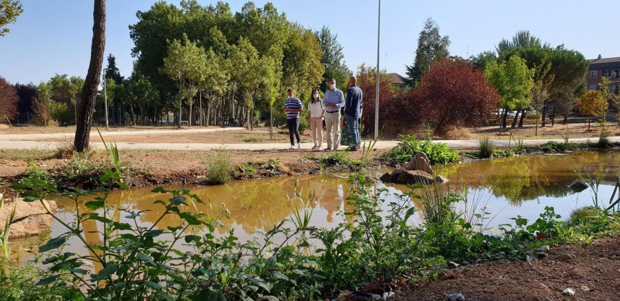 Humedal en Parque Lazarillo