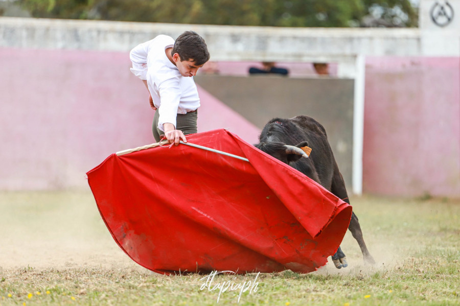 Tentadero Jefe - Ismael Martín, Manuel Diosleguarde y Fran normal-16