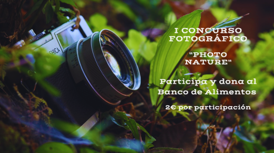 concurso foto´grafico