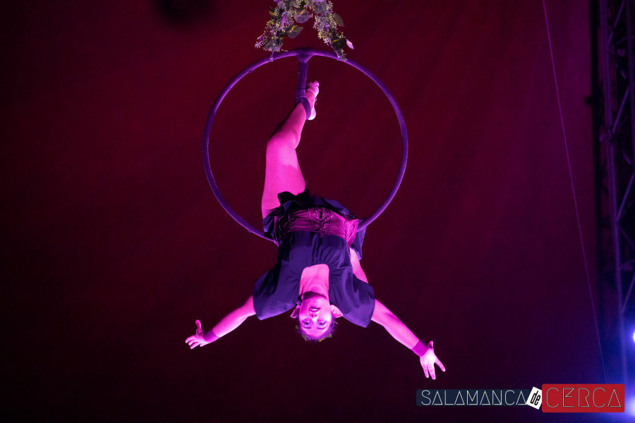 Circo Stellar. Salamanca de Cerca-14