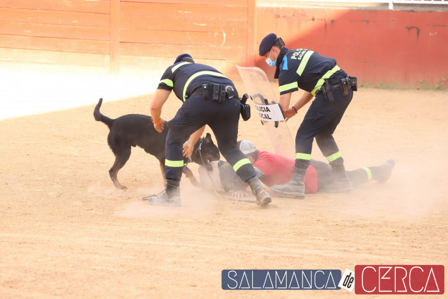 Exposición Canina Policia Local y mujeres maltratada-22