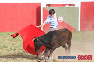 Tentadero Escuela Taurina en finca HEREDEROS DE ALEJANDRO MATEOS 05 05 2023 DTAPIAPH 113