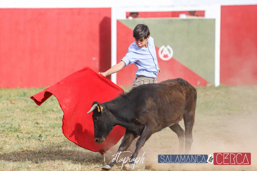 Tentadero Escuela Taurina en finca HEREDEROS DE ALEJANDRO MATEOS 05 05 2023 DTAPIAPH 113