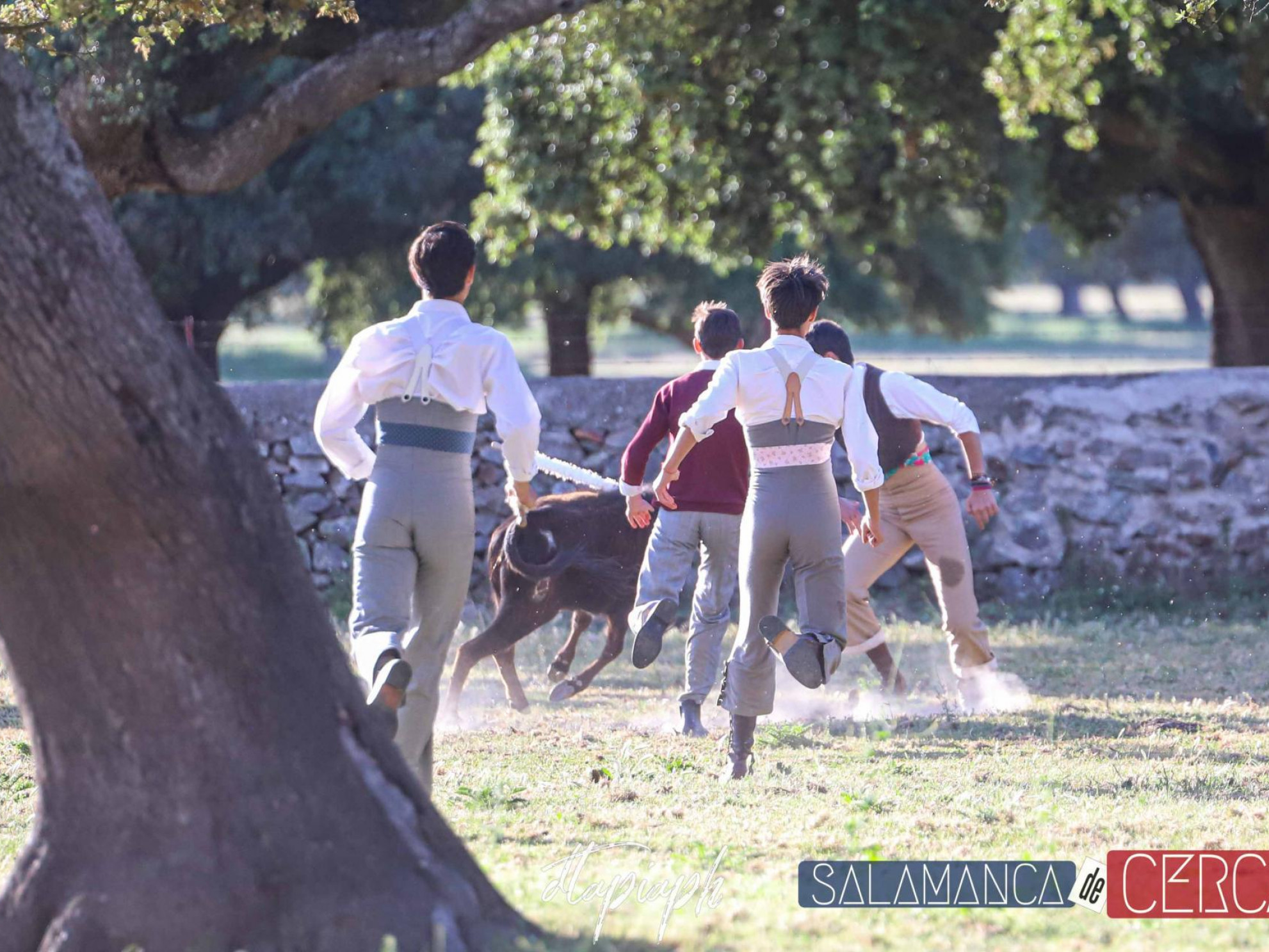 Tentadero de la Escuela Taurina de Salamanca