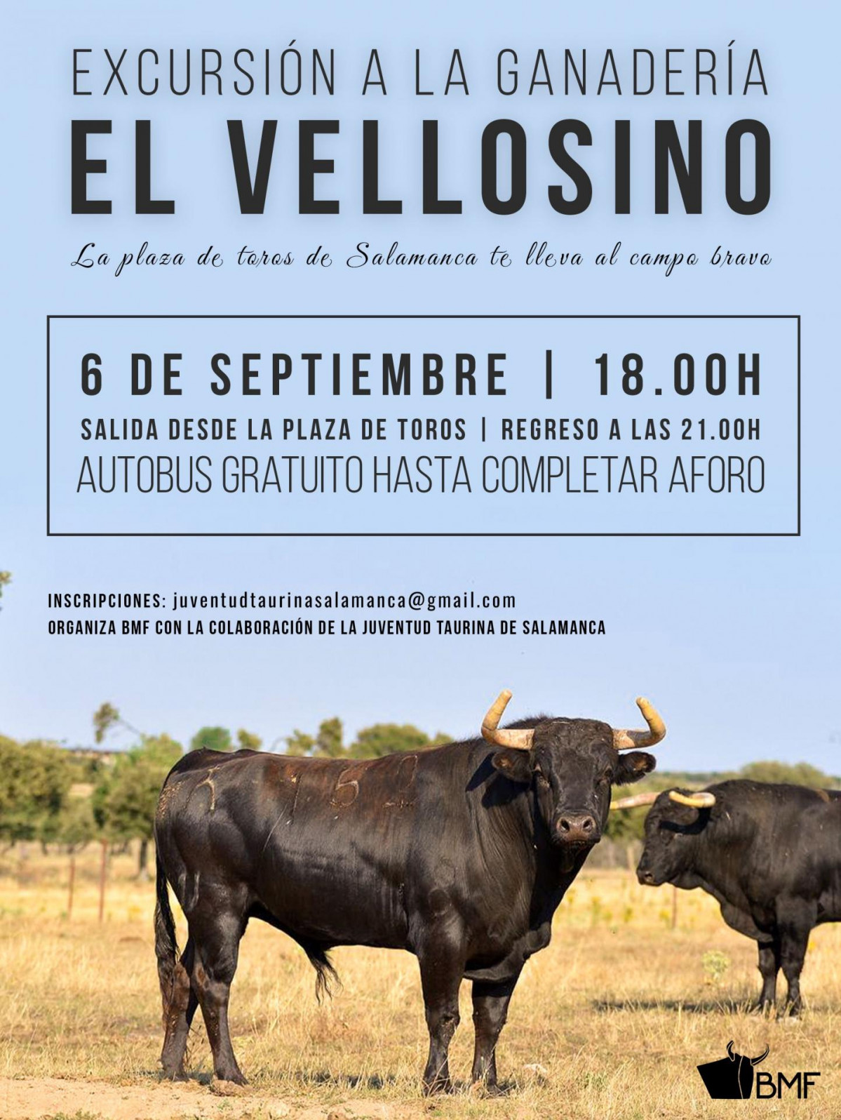 Cartel vellosino copia
