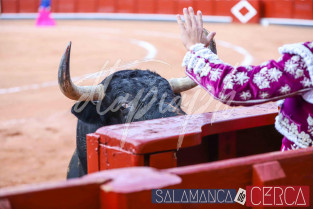 Corrida La Glorieta Miguel Ángel Perera, Leo Valades y Manuel Diosleguarde sdc 148