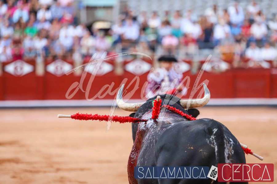 Corrida La Glorieta Miguel Ángel Perera, Leo Valades y Manuel Diosleguarde sdc 150