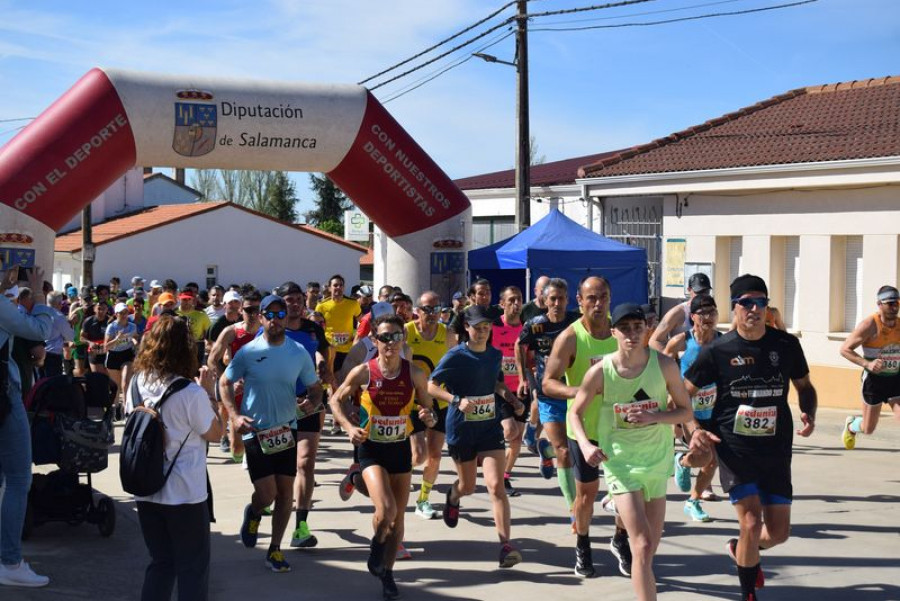 V C P LENTEJA DE LA ARMUNA DE TARDAGUILA 205  240415122444